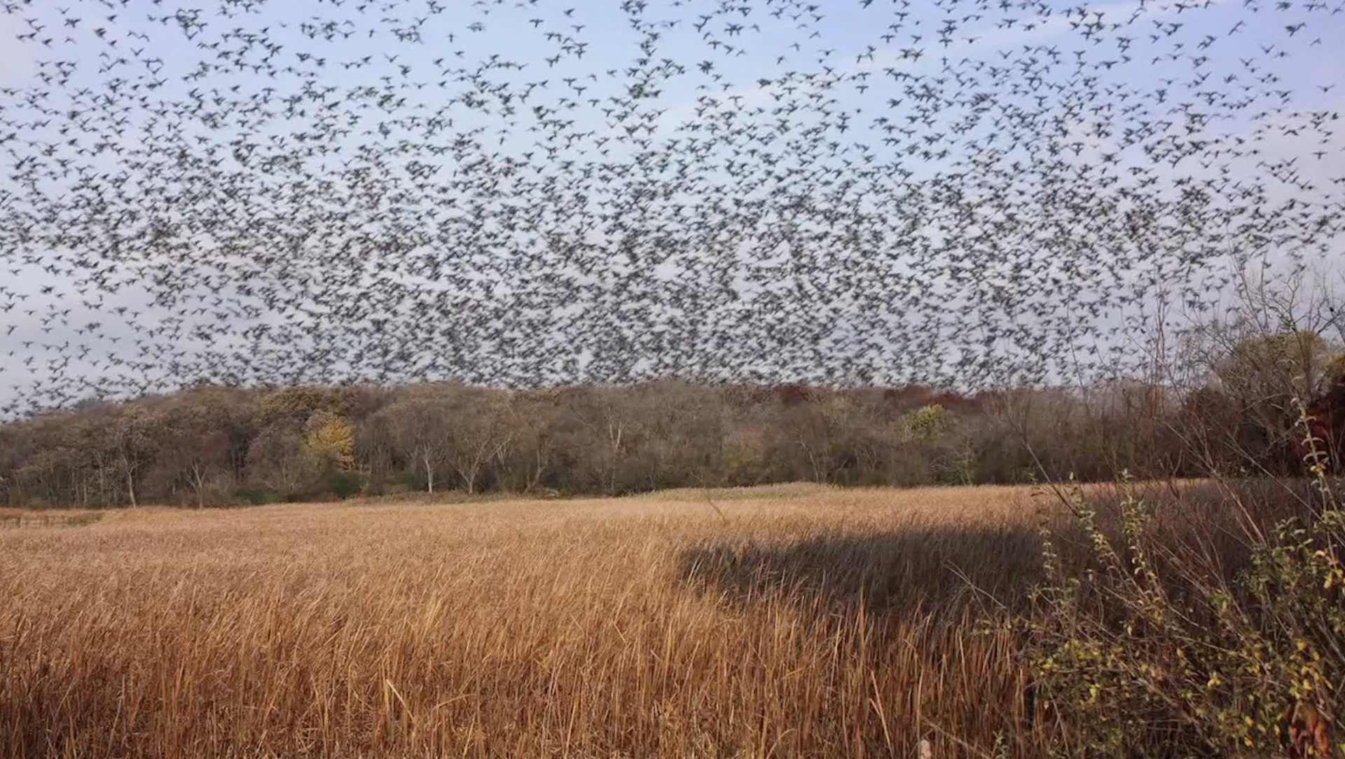 From Billions to None'