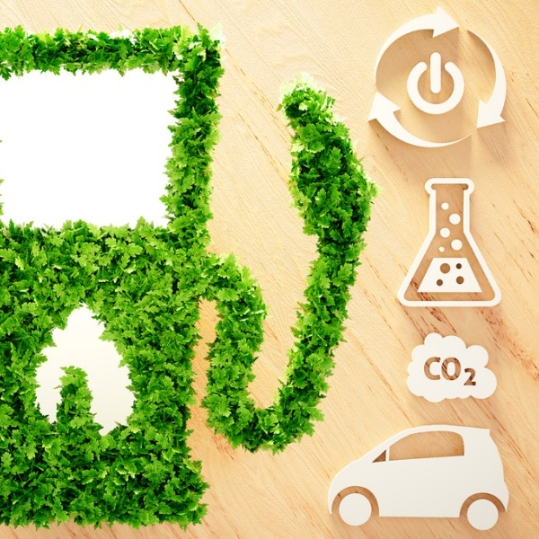 Biofuel Market