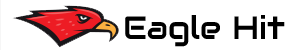 Company Logo For Eagle Hit'