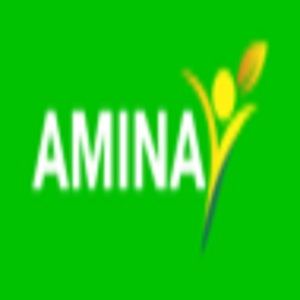 Company Logo For Amina International LLC'