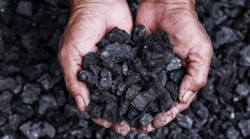 Coal'