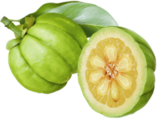 Company Logo For Garcinia Cambogia Ultra'