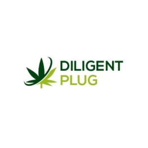 DILIGENT PLUG Logo