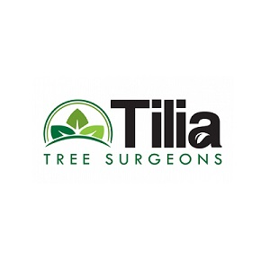 Company Logo For Tilia Tree Surgeons'