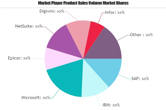 ERP Software Market