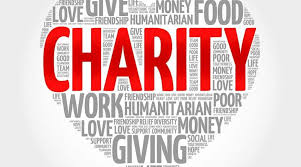 Charity Software Market'