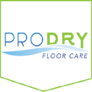 Company Logo For ProDry Floor Care'