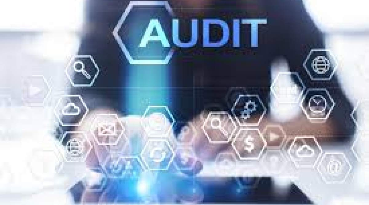 Audit Software Market'