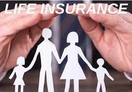 Straight Life Insurance Market'