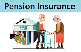 Pension Insurance Market'