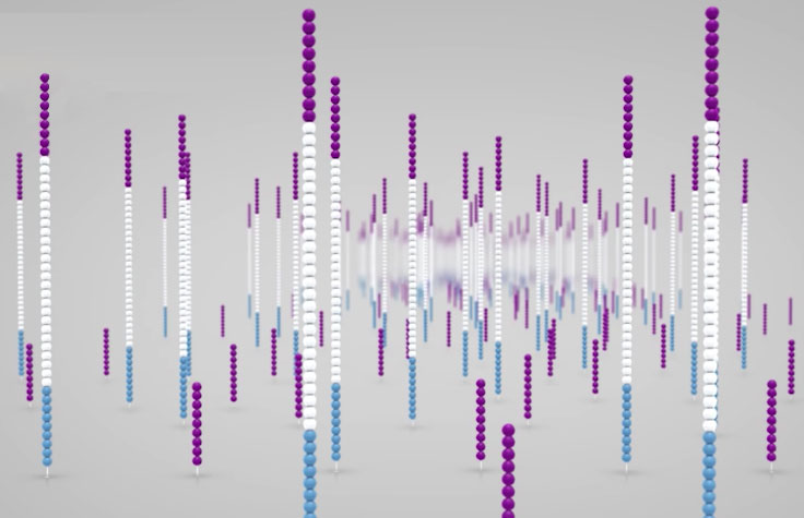 Next Generation Sequencing