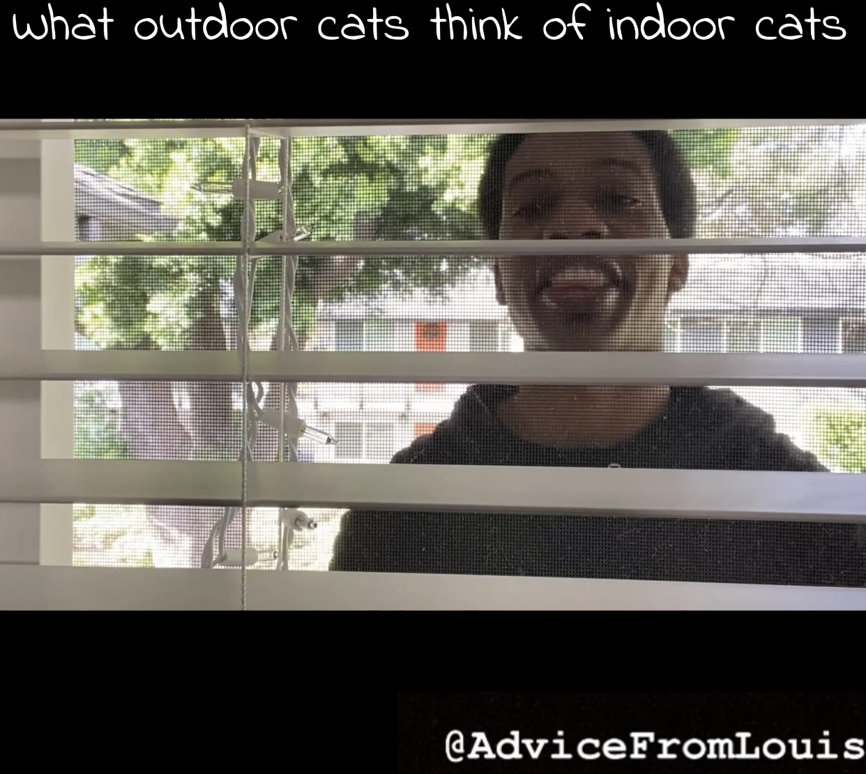 A one-man-show redefined, AdviceFromLouis'