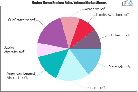Ultralight Aircraft Market'