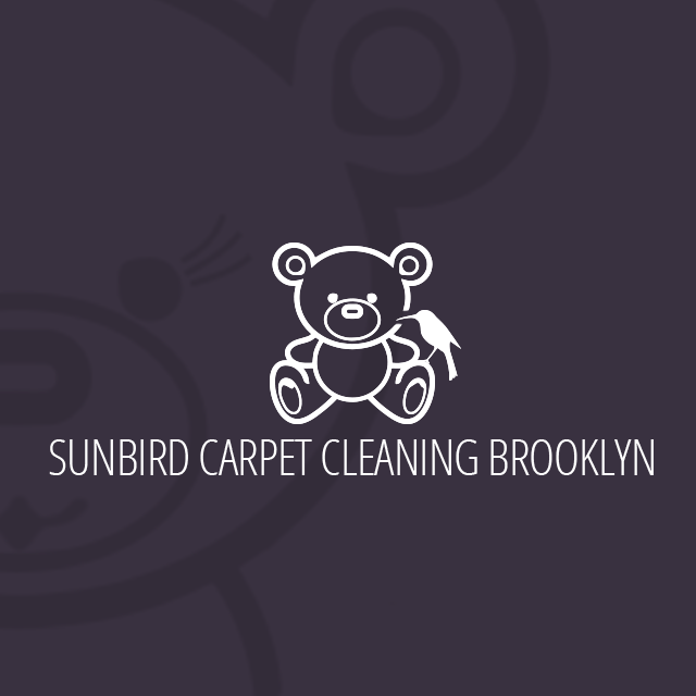 Sunbird Carpet Cleaning Brooklyn'
