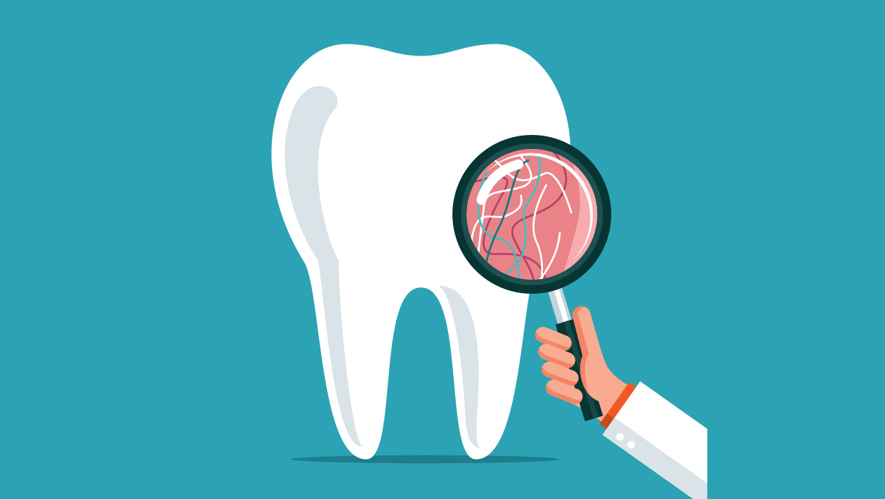 Dental Insurance