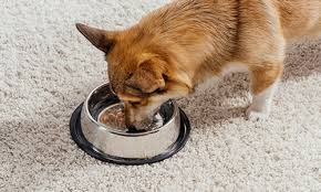 Wet Pet Food Market