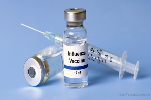 Flu Vaccine (Influenza Vaccine) Market'