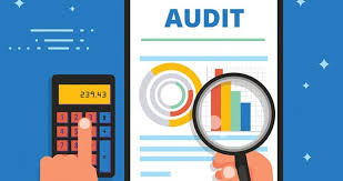 Utility Audit Software Market May see a Big Move | Major Gia