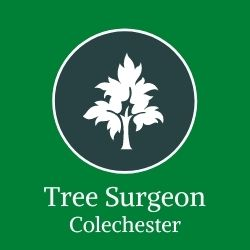 Company Logo For Tree Surgeon Colchester'