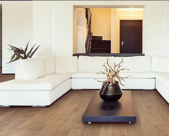 Company Logo For Ches-Mont Carpet One Floor &amp; Home'