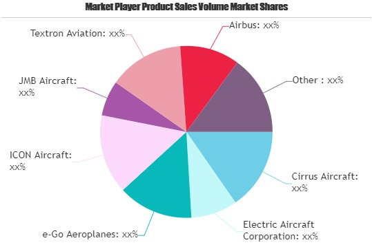 Light Aircraft Market'