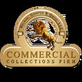 Company Logo For Nelson, Cooper &amp; Ortiz, LLC'