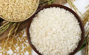 Fragrant and Long Grain Rice Market