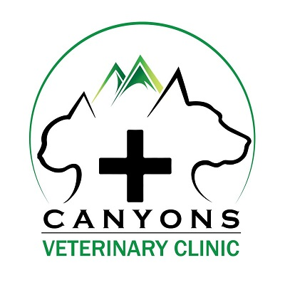Company Logo For Canyons Veterinary Clinic'