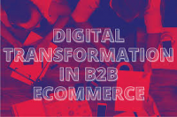 Digital Transformation B2B Ecommerce Market to Watch: Spotli