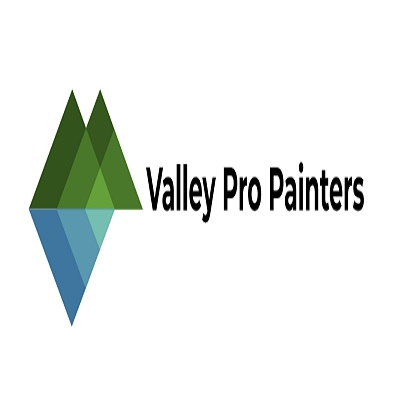 Company Logo For Valley Pro Painters'