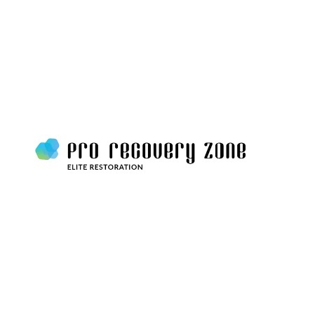 Company Logo For Pro Recovery Zone'