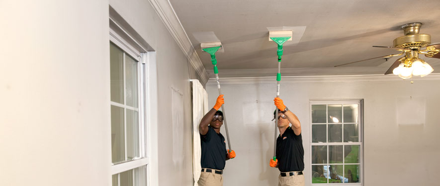 Mold Remediation and Restoration - SERVPRO'