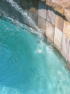 Reduce Swimming Pool Tempurature'