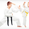 Karate School'