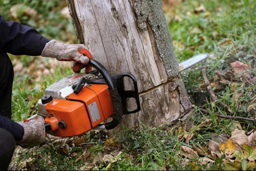 Company Logo For Elevated Arbor Care'