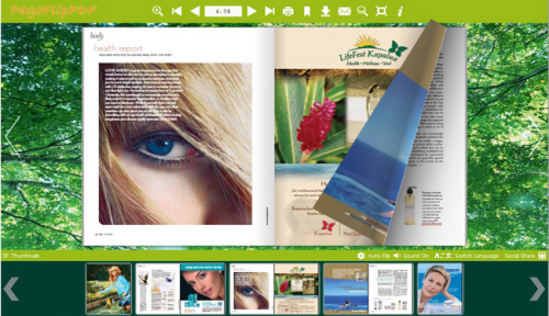 eFlip - flip book in green background!'