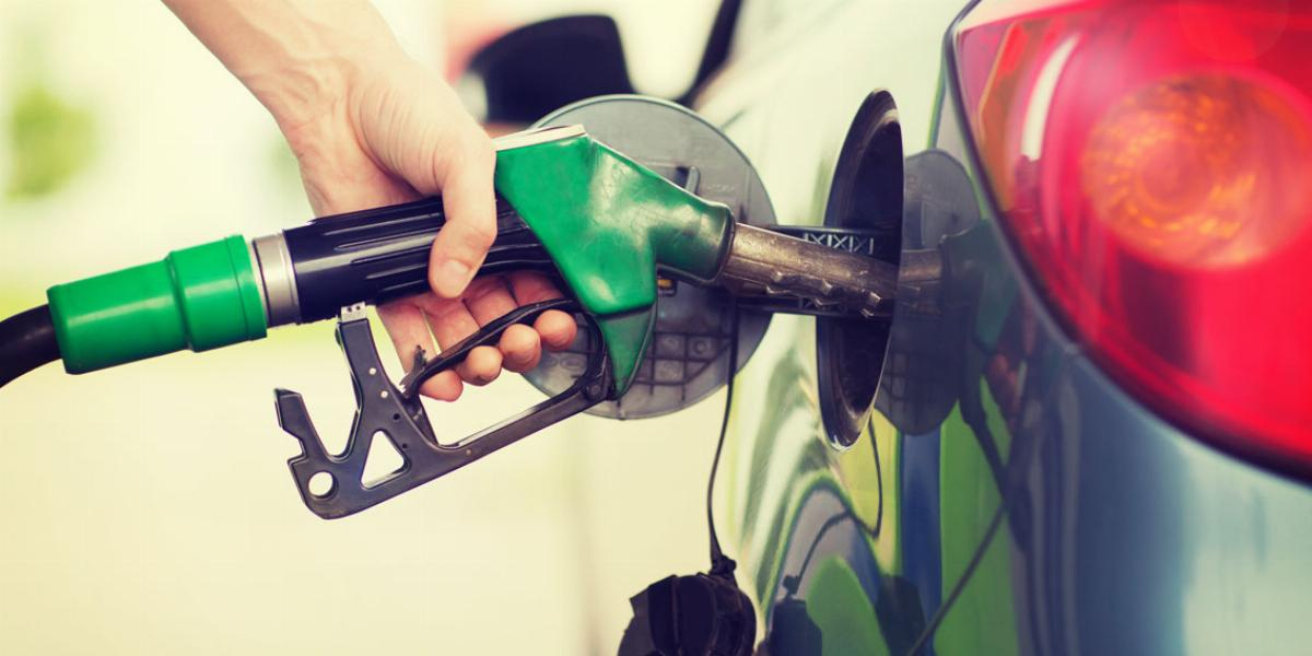 Renewable Fuel Market