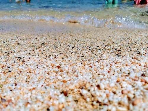 Blue Daily Cruises - Cruises to Chrissi Island'