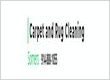 Company Logo For Carpet &amp;amp; Rug Cleaning Service Somer'