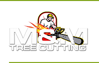 Company Logo For Tree Service &amp; Removal Bronx'