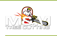 Company Logo For Tree Removal Service NYC'