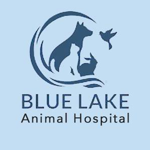 Company Logo For Blue Lake Animal Hospital'