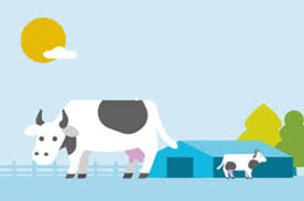 Livestock Insurance