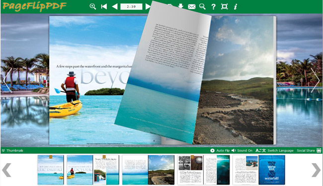 eFlip - flipping book in cool Summer theme!'