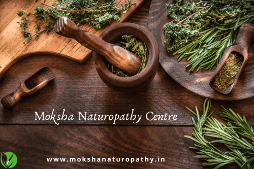Nature Cure Hospital Pune'