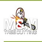 UNBEATABLE PRICED Tree Service Bronx'