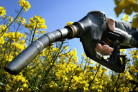 Biofuels (Bioethanol and Biodiesel) Market