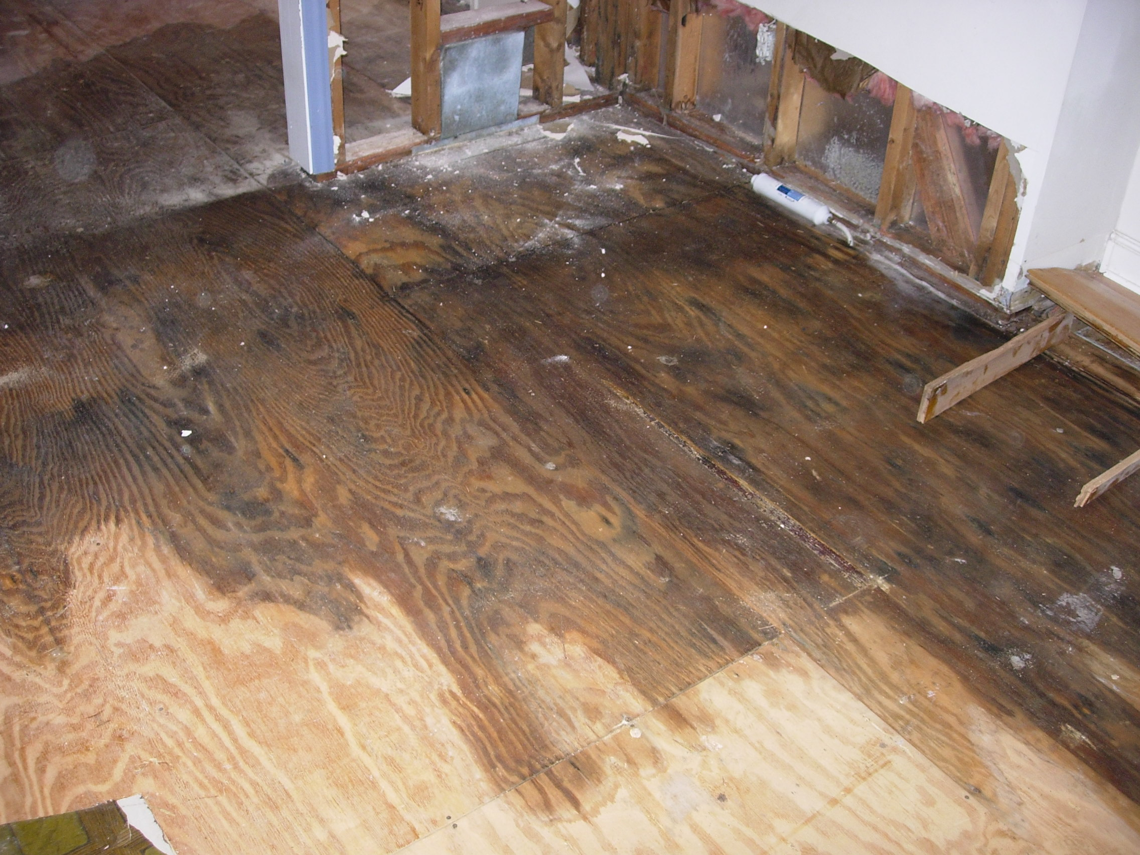 Water Damage in  San Diego'