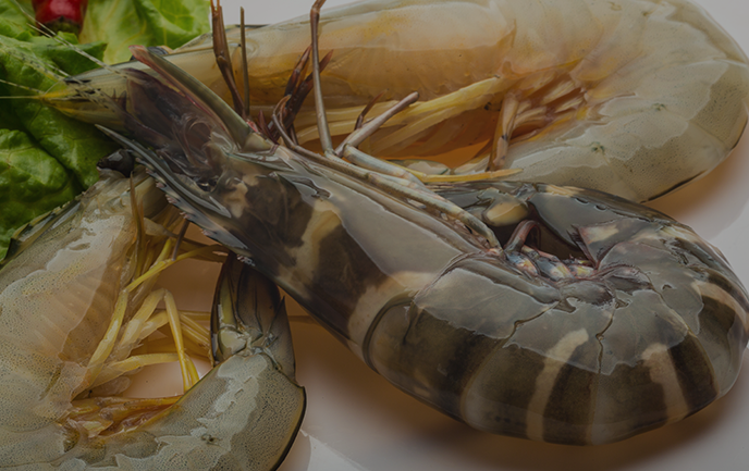 Jaya Lakshmi Sea Foods Private Limited Logo