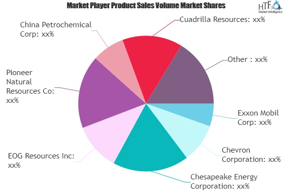 Shale as a Theme in Oil and Gas Market